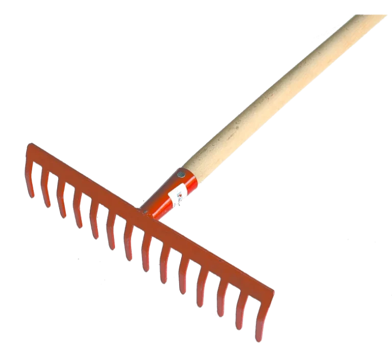 gr-810024-medium_webp