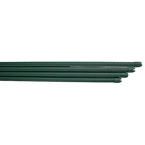 sta-51039-medium_webp